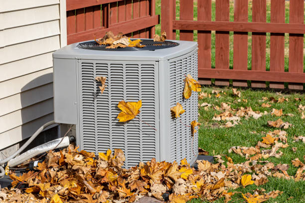 Best HVAC Repair Near Me  in Piney Mountain, VA